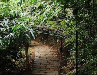 Kerala Backwater Tour